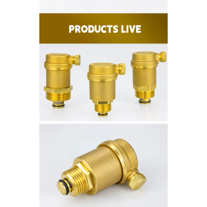 Brass automatic air vent with protection