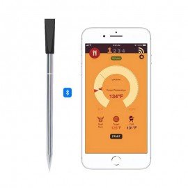 WiFi Thermometer